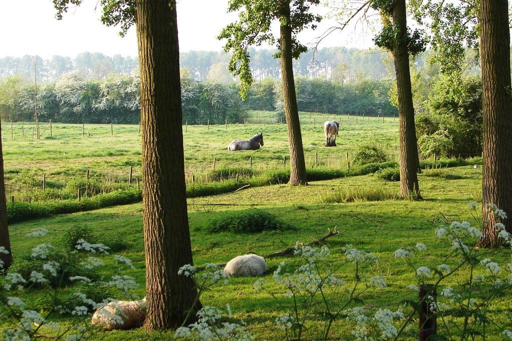 Do'S Chalets Baarland Екстер'єр фото